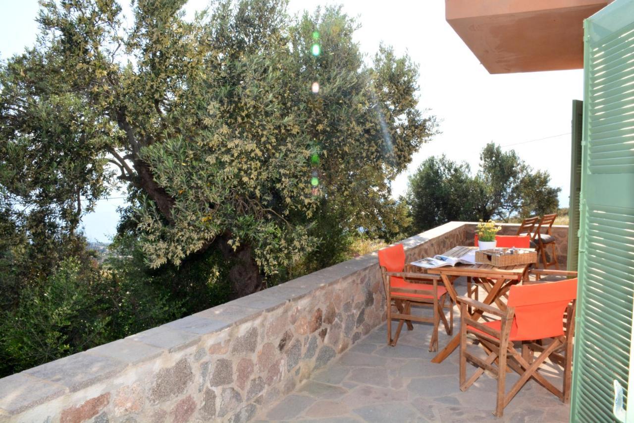 Aegina Colors Villa Sfentouri Ngoại thất bức ảnh